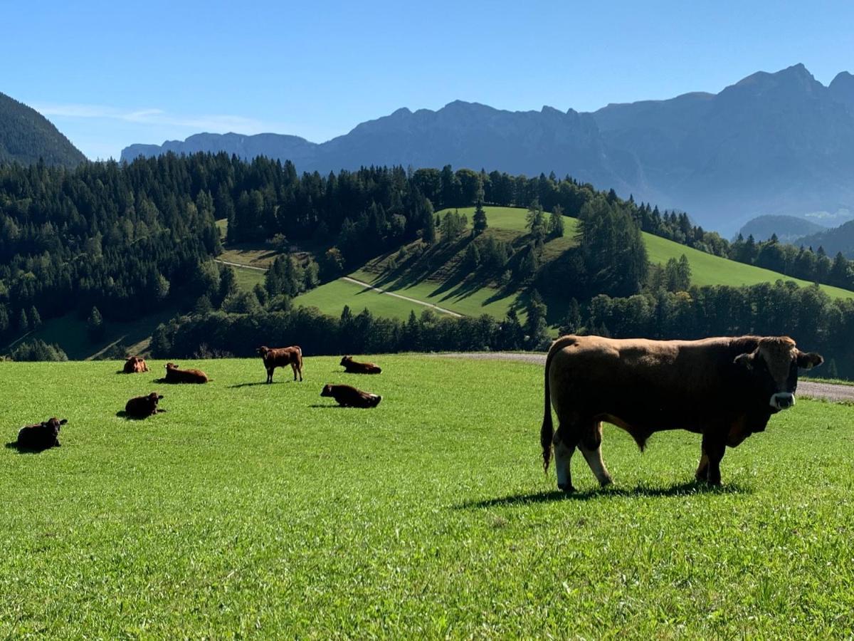 Appartamento Moarhof Unken Esterno foto