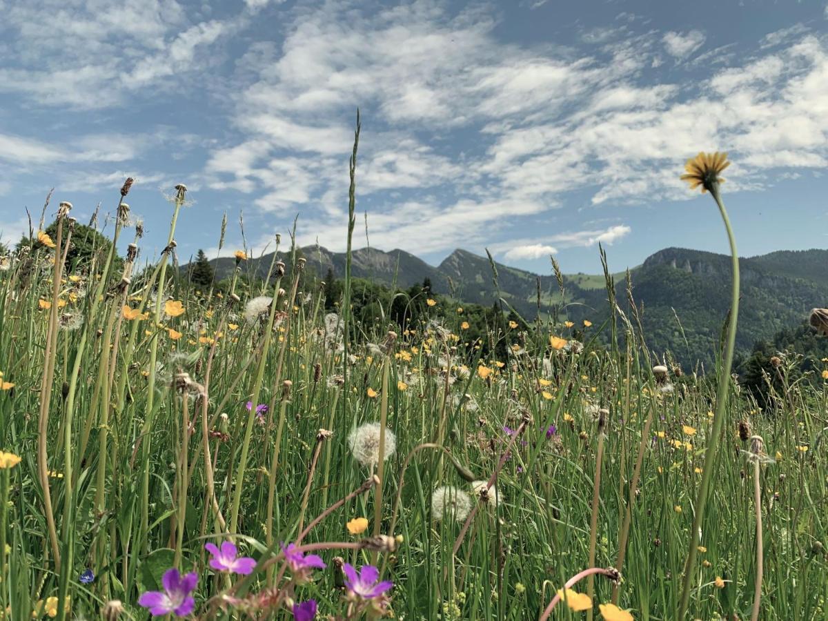 Appartamento Moarhof Unken Esterno foto